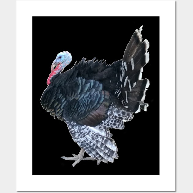 Retro Vintage Turkey Jive Thanksgiving Wall Art by BurunduXX-Factory